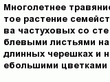 question