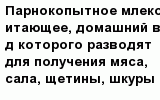 question