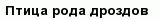 question