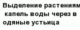 question
