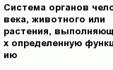 question