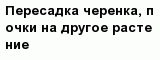question