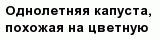 question