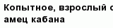 question