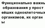 question