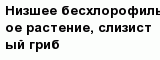 question