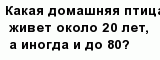 question