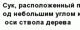 question
