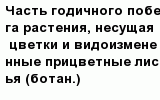 question