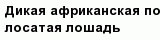 question