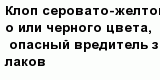 question