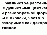 question