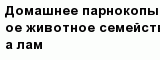 question
