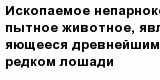 question