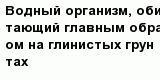 question
