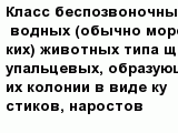question