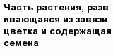 question