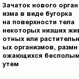 question