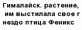 question