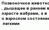 question