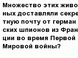question