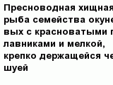 question