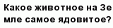 question