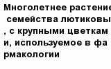 question