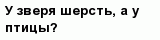 question