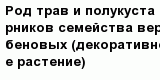 question