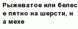 question