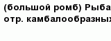 question