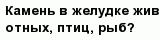 question