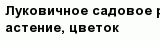 question